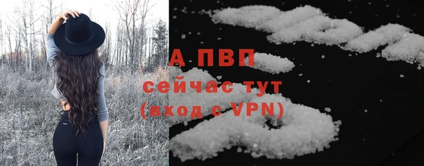 твердый Богданович