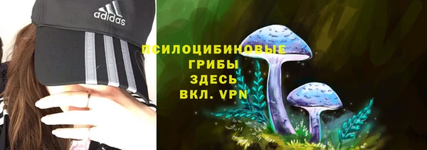 соль ск Сосновоборск